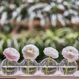 Clear Big Caterpillar Vase