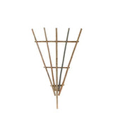 Staked Twig Trellis