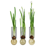 Glass Bulb Vase Tall