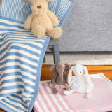 Pink Ladies Mini Blanket