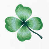 Shamrock Hand Towel