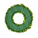 16" Preserved Boxwood Wreath