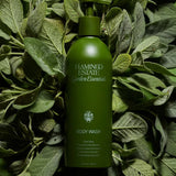 Flamingo Estate Rosemary & Clary Sage Body Wash