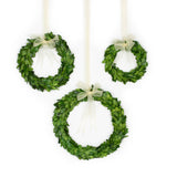 Small 6" Preserved Boxwood Wreath