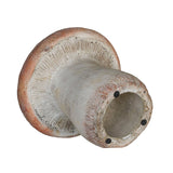 Mushroom: Large