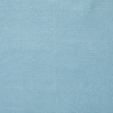 Robin's Egg Linen Napkin (Set of 4)