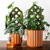 Diamond Moss Trellis