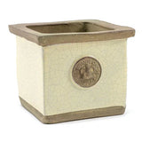 Cornwall Kew Square Herb Pot Old White