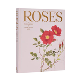 Roses In The Garden